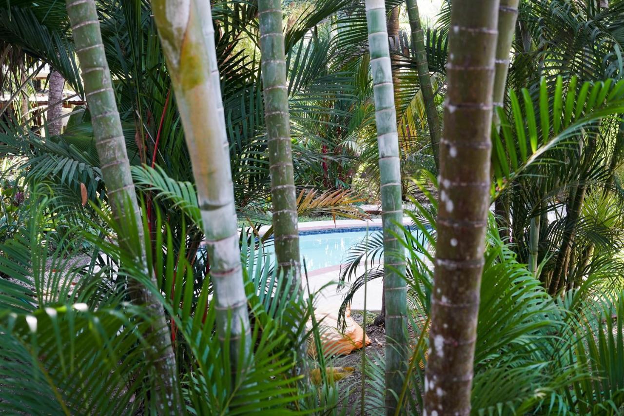 Hotel Luz De Luna Playa Santa Teresa  Luaran gambar