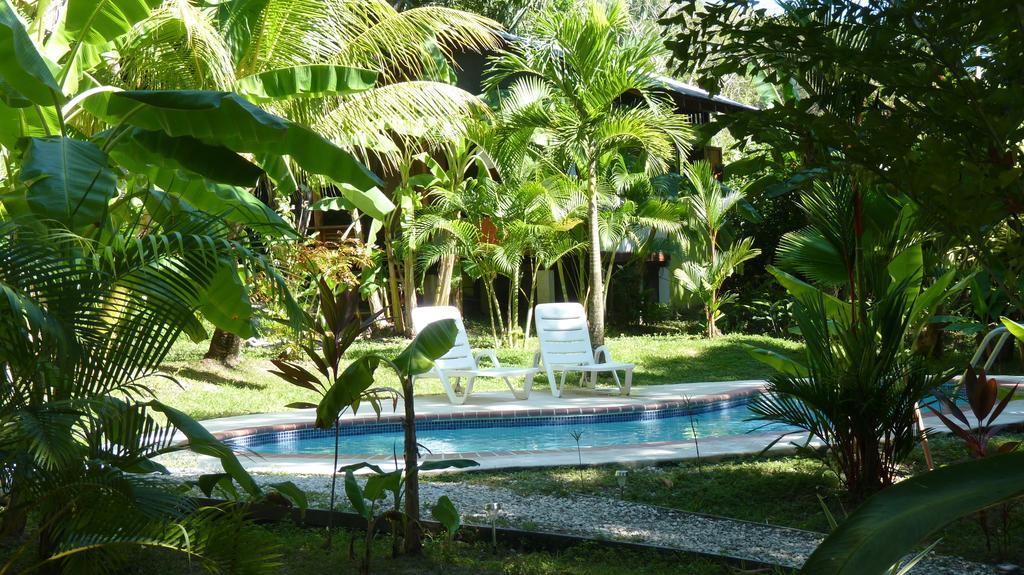 Hotel Luz De Luna Playa Santa Teresa  Luaran gambar